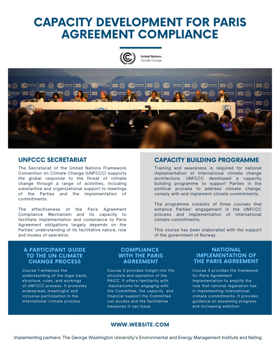 Image of program flyer