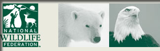 nwf_logo_picture