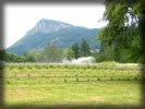 previousissues_spring08_article8_img1