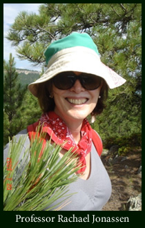 sp13_art2_prof._rachael_jonassen